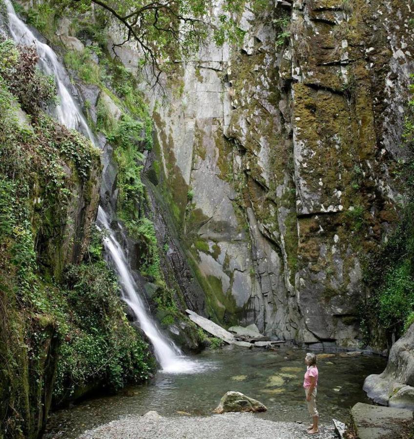 A Pequena Casa Coja Central Portugal Mountains Extérieur photo